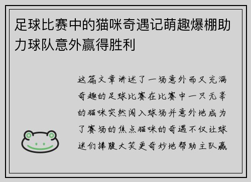 足球比赛中的猫咪奇遇记萌趣爆棚助力球队意外赢得胜利